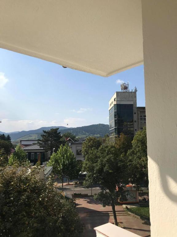 Center Tt Apartment Piatra Neamţ